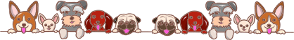 12.png