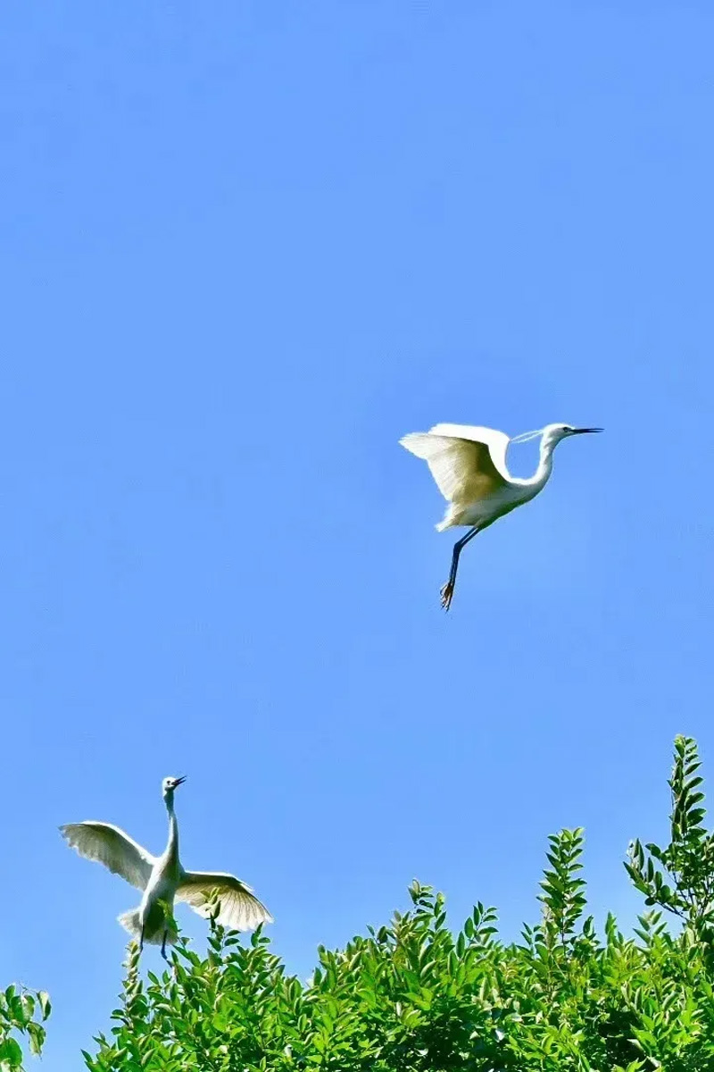 imgi_23_640.jpg